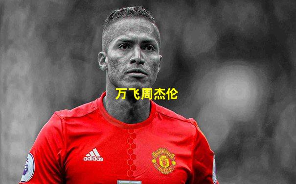 万飞周杰伦