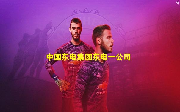 中国东电集团东电一公司