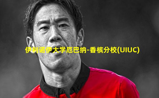 伊利诺伊大学厄巴纳-香槟分校(UIUC)