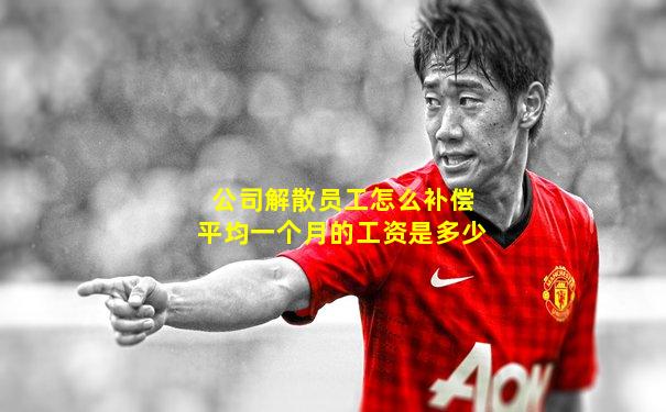 公司解散员工怎么补偿平均一个月的工资是多少
