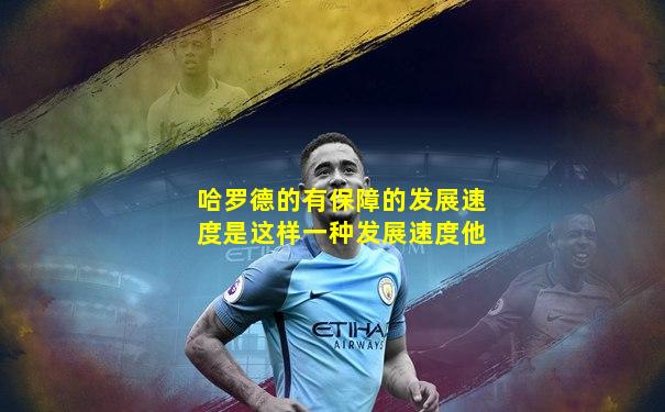 哈罗德的有保障的发展速度是这样一种发展速度他