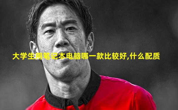 大学生用笔记本电脑哪一款比较好,什么配质