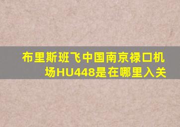 布里斯班飞中国南京禄口机场HU448是在哪里入关