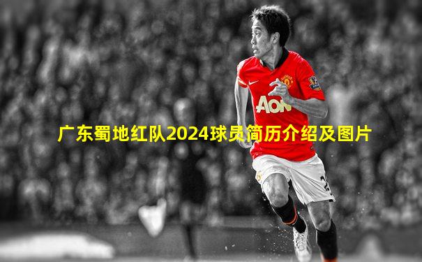 广东蜀地红队2024球员简历介绍及图片
