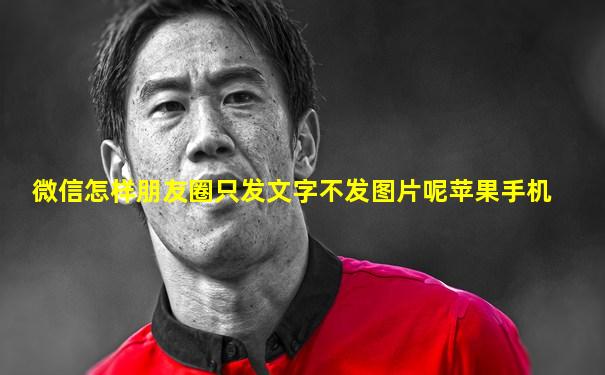 微信怎样朋友圈只发文字不发图片呢苹果手机