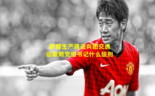 新疆生产建设兵团交通运输局党组书记什么级别