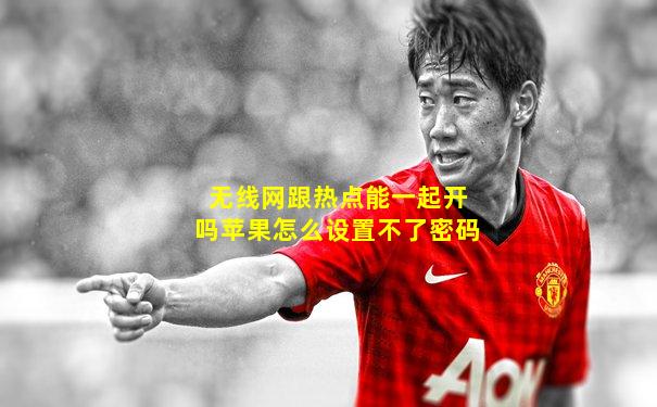 无线网跟热点能一起开吗苹果怎么设置不了密码
