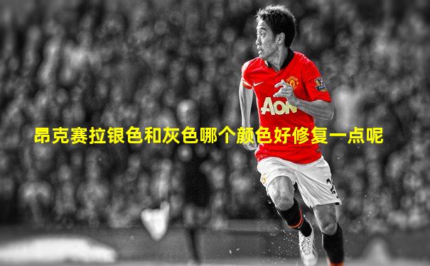 昂克赛拉银色和灰色哪个颜色好修复一点呢