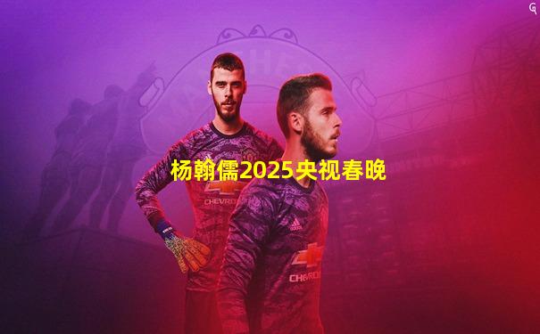 杨翰儒2025央视春晚