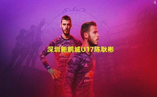 深圳新鹏城U17陈耿彬