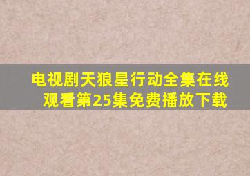 电视剧天狼星行动全集在线观看第25集免费播放下载