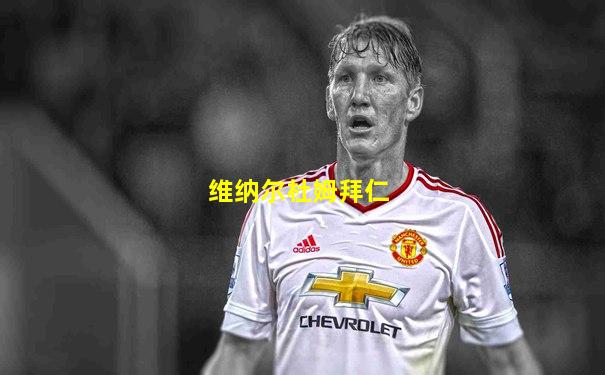 维纳尔杜姆拜仁