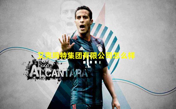 艾克玛特集团有限公司怎么样