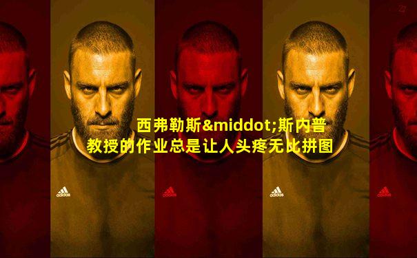西弗勒斯·斯内普教授的作业总是让人头疼无比拼图