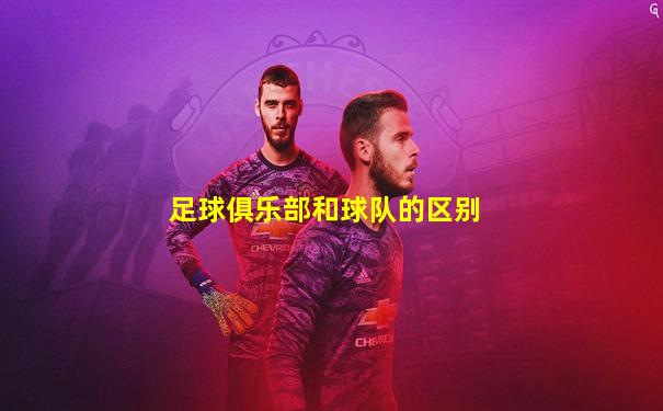 足球俱乐部和球队的区别