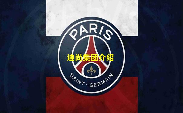 迪尚集团介绍