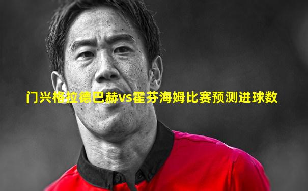 门兴格拉德巴赫vs霍芬海姆比赛预测进球数