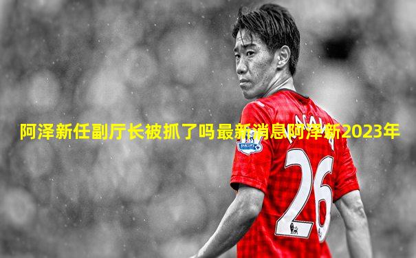 阿泽新任副厅长被抓了吗最新消息阿泽新2023年