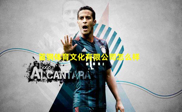 首钢体育文化有限公司怎么样