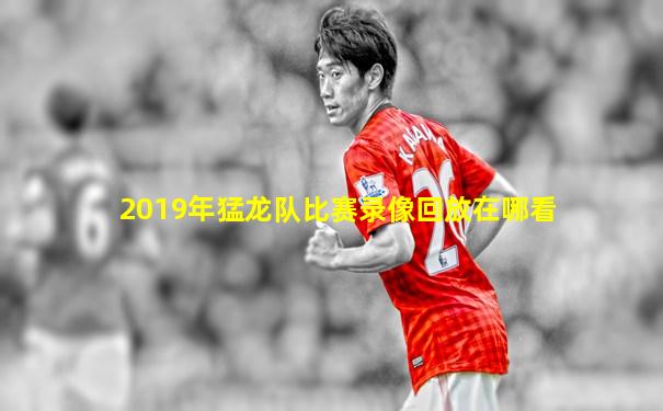 2019年猛龙队比赛录像回放在哪看