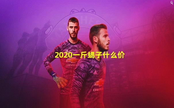 2020一斤蝎子什么价