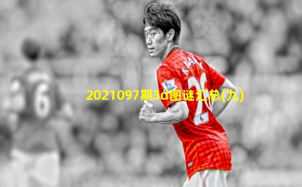 2021097期3d图谜汇总(九)