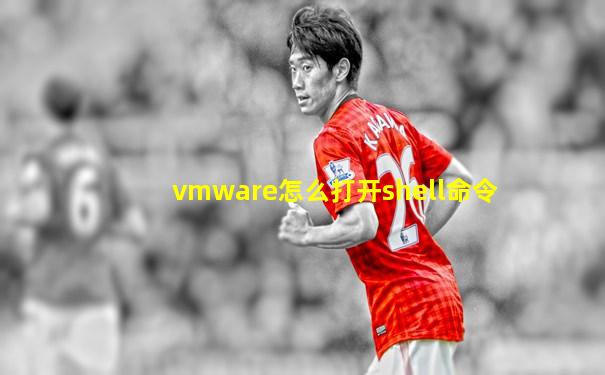 vmware怎么打开shell命令