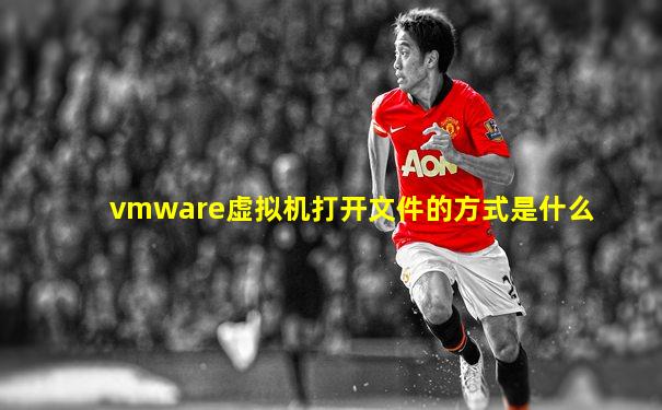 vmware虚拟机打开文件的方式是什么