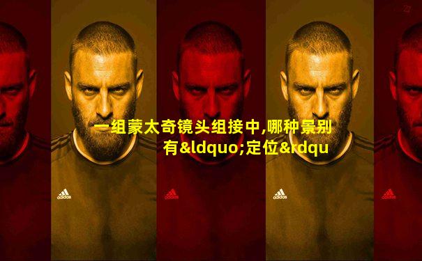 一组蒙太奇镜头组接中,哪种景别有“定位”作用