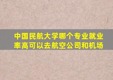 中国民航大学哪个专业就业率高可以去航空公司和机场