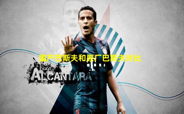 国产巴斯夫和原厂巴斯夫对比
