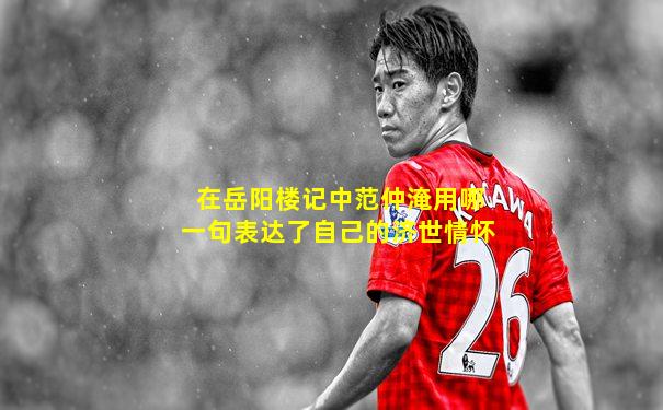 在岳阳楼记中范仲淹用哪一句表达了自己的济世情怀