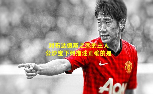 对布达佩斯之恋的主人公沙宝下列描述正确的是