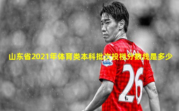 山东省2021年体育类本科批次投档分数线是多少