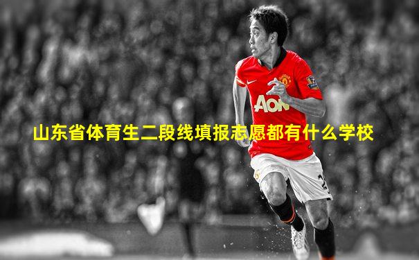 山东省体育生二段线填报志愿都有什么学校