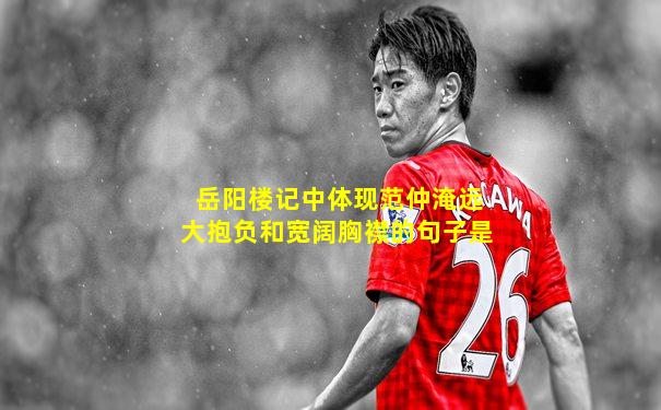 岳阳楼记中体现范仲淹远大抱负和宽阔胸襟的句子是