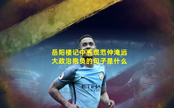 岳阳楼记中表现范仲淹远大政治抱负的句子是什么