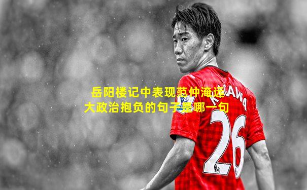 岳阳楼记中表现范仲淹远大政治抱负的句子是哪一句