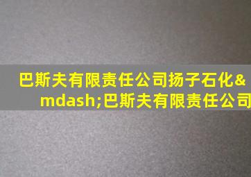 巴斯夫有限责任公司扬子石化—巴斯夫有限责任公司