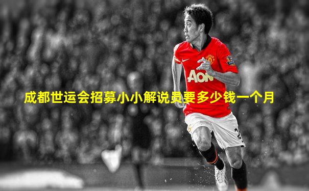 成都世运会招募小小解说员要多少钱一个月