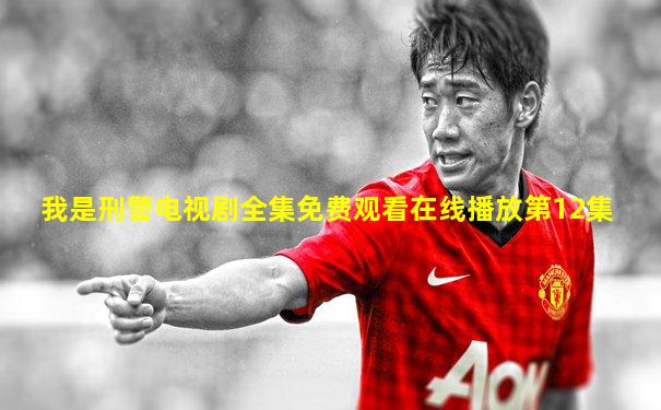 我是刑警电视剧全集免费观看在线播放第12集