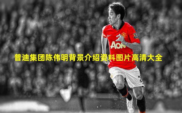 普迪集团陈伟明背景介绍资料图片高清大全