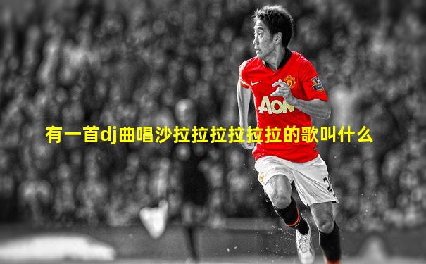 有一首dj曲唱沙拉拉拉拉拉拉的歌叫什么