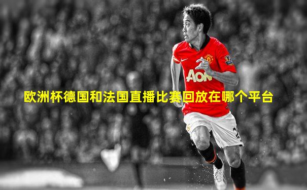 欧洲杯德国和法国直播比赛回放在哪个平台