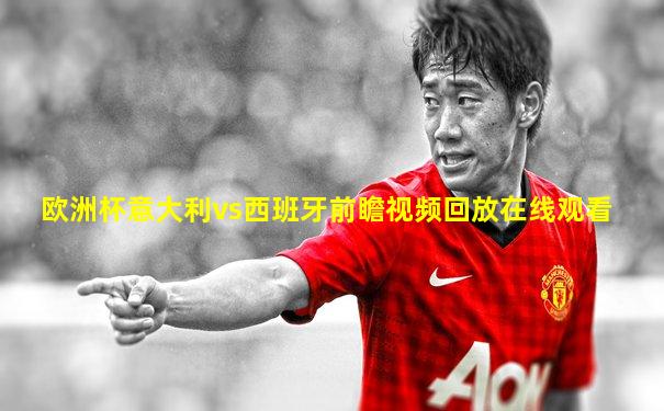 欧洲杯意大利vs西班牙前瞻视频回放在线观看