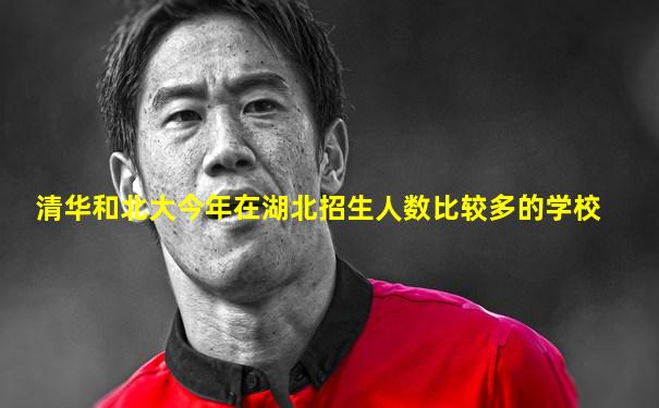 清华和北大今年在湖北招生人数比较多的学校