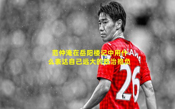 范仲淹在岳阳楼记中用什么表达自己远大的政治抱负