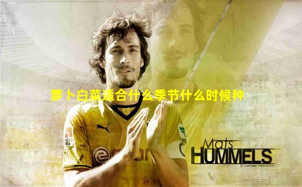 萝卜白菜适合什么季节什么时候种