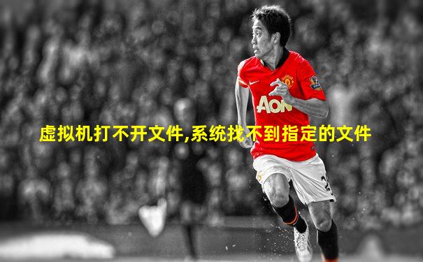 虚拟机打不开文件,系统找不到指定的文件