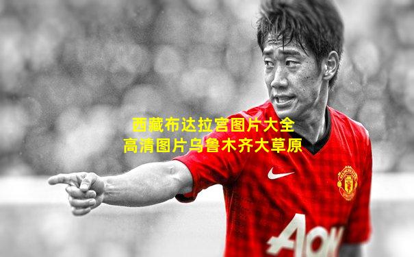 西藏布达拉宫图片大全高清图片乌鲁木齐大草原